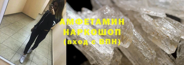 индика Дмитриев
