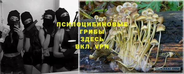 кокаин колумбия Богданович