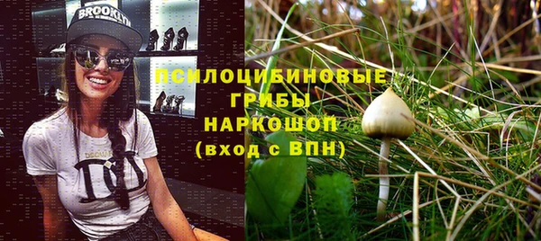 ешки Белоозёрский