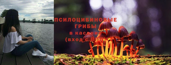 кокаин колумбия Богданович